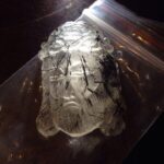 Mặt Dây Chuyền Chúa Jesu