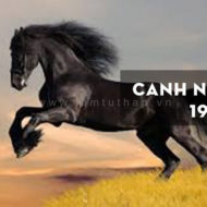 Sinh năm 1990 mệnh gì