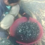 Đá Vàng Găm vụn solo giá rẻ - Ảnh 3